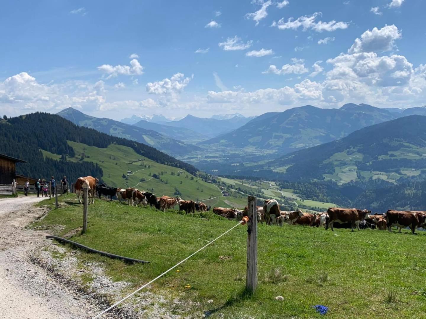 Appartement Alpenhof Wildschönau Niederau Buitenkant foto